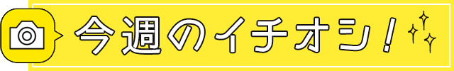 今週のイチオシ